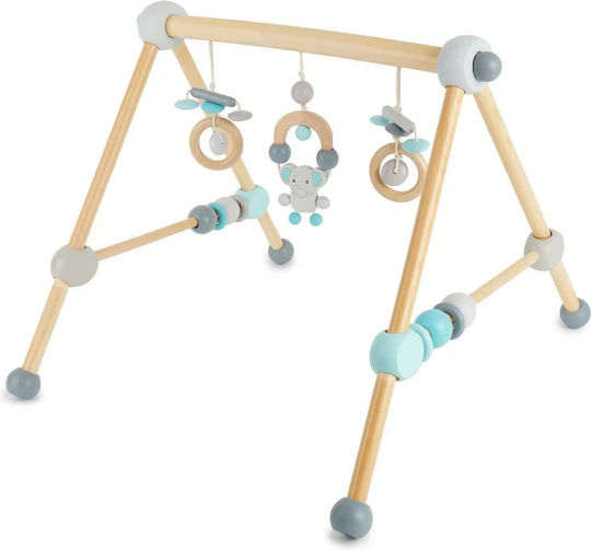 Bieco Baby Activity Gym for Newborns
