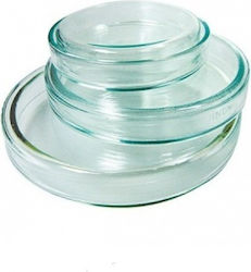 Glass Petri Dishes Diameter 10cm