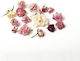Essbare Mini Wilde Rosen 20g