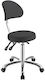 Weelko Medical Stool with Backrest A66.1025B