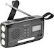 Sandberg 421-17 Portable Radio Battery DAB