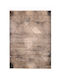 Tzikas Carpets 31597 Covor Rectangular Multicolor