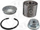 Front Wheel Bearing Set Renault Megane II 02- Scenic II 03 59643-1368