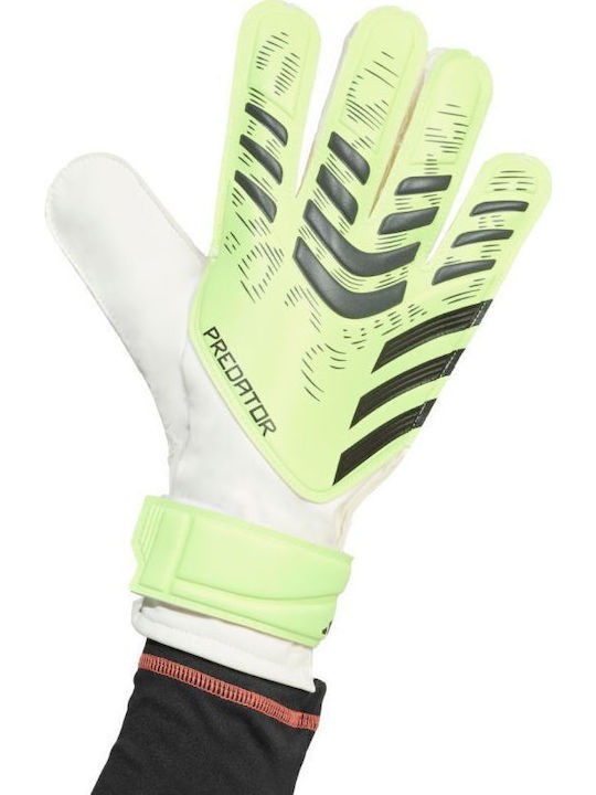 adidas Predator Training Γάντια Τερματοφύλακα Ενηλίκων Πράσινα
