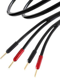 Atlas Cables Hyper Achromatic