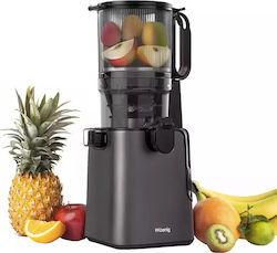 HKoenig Storcător De Fructe 250W Negru HKoenig Storcător De Fructe 250W Negru