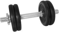DHS Dumbbell 1x 15kg
