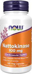 Now Foods Nattokinase 100mg