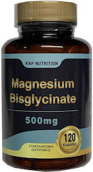 KNP Nutrition Magnesium Bisglycinate 500mg 120 caps