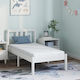 vidaXL Mattress Kids Bed 160cmx80cm