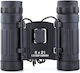 Κикилия 8x21мм