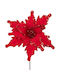 Iliadis Weihnachtsdekoration Alexandrinischer Länge 35cm. Weihnachtsstern