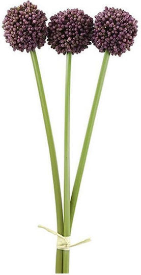 Allium Μωβ X3 55εκ