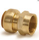 Tectite Classic 28x3/4 Gw Push-Fit Coupling