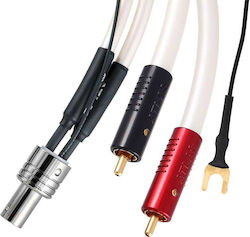 Atlas Cables Equator Achromatic