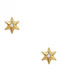 Polytimo Earrings made of Gold 9K with Stones