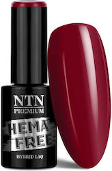 Ntn Premium Хибриден Полутрайни Лак За Нокти След Полунощ Колекция Hema/di-hema Безплатно 5г № 67
