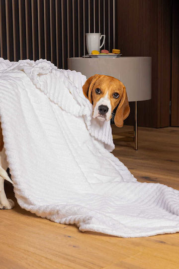 Cotton Market Κουβέρτα Fleece Υπέρδιπλη 220x240εκ. White