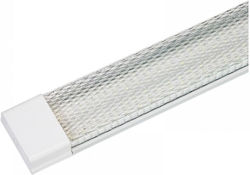 431750 Ring Light 431750 Ring Light