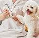 Electric Pet Nail Clipper Led Light & Usb Size 7.6x1.7cm