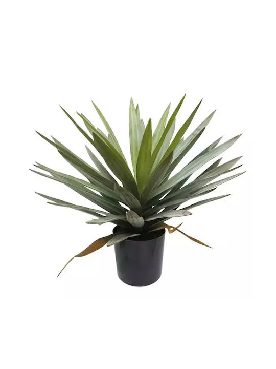 Yucca Tree Panache Plastic Pot H48cm 4/box