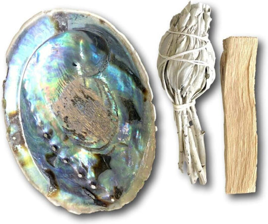 Smudge Set Palo Santo Sage Shell Space Aura Cleansing