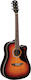 Eko Acoustic Guitar Ranger Cutaway Sunburst / B...