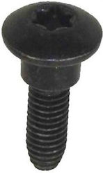 Screw