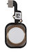 Home-Taste Fingerabdruck Flex iPhone 6s Gold