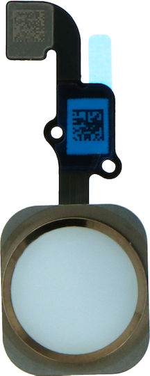 Home-Taste Flexkabel iPhone 6/6 Plus Gold Ohne Fingerabdrucksensor