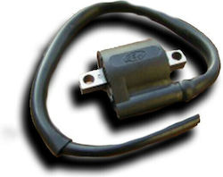 Ignitech Ignition Coil Ic-cdi-s