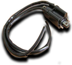 Ignitech Ignition Coil Ic-tci-d