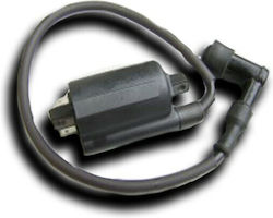 Ignitech Zündspule Ic-tci-s