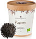 Brown House & Tea Μαύρο Τσάι 40 Φακελάκια 40gr