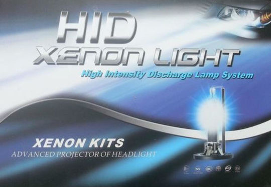 Xenon Set de Iluminare Faruri H7 Can bus 12V 6000K Alb rece