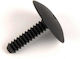 Ford Screw Car for Ford Focus