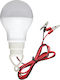 Chengxin Work & Site Lights Battery LED