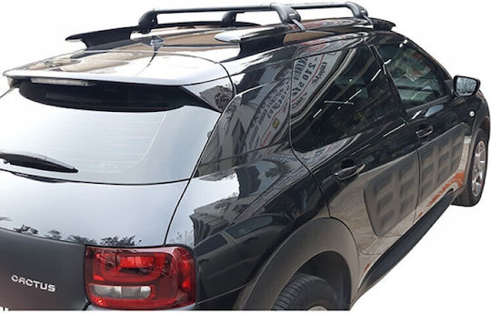 Nordrive für Citroen C4 Kaktus 2014-2020 (mit Dachträgerfüßen)