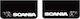 Scania Car Mudguards 36x64cm