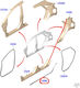 Ford Türdichtung Gummi mit Installation Hinten links Ford Puma 2416846