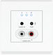 Bluetooth Analog Audio Dante Version 2
