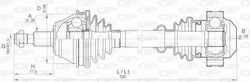 Halimaxion Leon 1m1 1.8 20v T 11 99–>06 06 Halimaxion Leon 1m1 1.8 20v T 11 99–>06 06