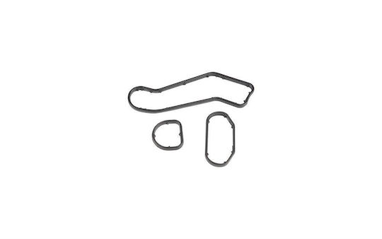Oil Cooler Gasket Citroen Berlingo 1.6 BlueHDi 100 ibras br17537
