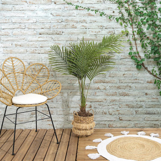 Φοίνικας σε Γλάστρα The Home Deco Factory Φοίνικας σε Γλάστρα The Home Deco Factory