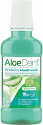 Optima Naturals AloeDent Probiotic κατά της Πλάκας 250ml Optima Naturals AloeDent Probiotic κατά της Πλάκας 250ml