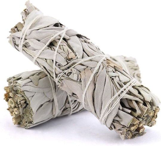 White Sage Smudge Stick 10χ3cm 2 Ραβδιά Θυμιάματος Λευκό Φασκόμηλο
