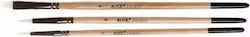 Mp Painting Set 3