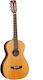 Tanglewood Ακουστική Κιθάρα