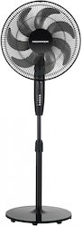 Heinner HSF-M750D-BK Pedestal Black Heinner HSF-M750D-BK Pedestal Black