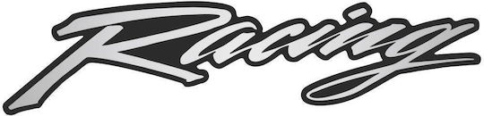 Universal Silber Racing Label 10 Stück Racingsp Druck Dekorative Aufkleber